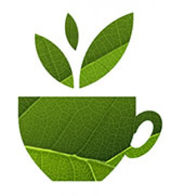 Avocado Tea Co. Logo